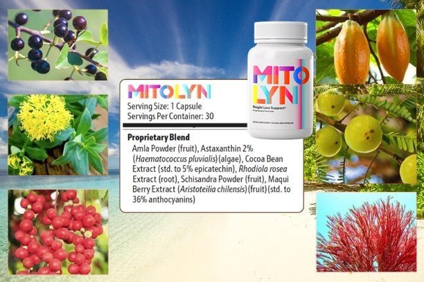 Mitolyn ingredients